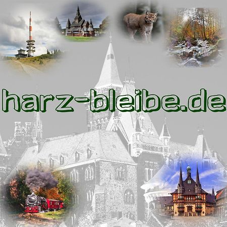 Harz-Bleibe Wernigerode Apartment Luaran gambar