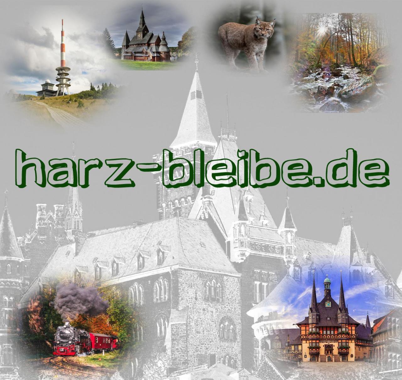 Harz-Bleibe Wernigerode Apartment Luaran gambar